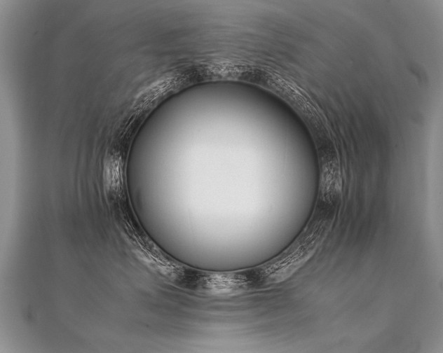 X0000112040623200908101402
