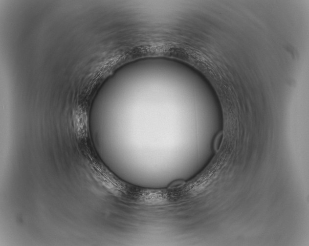 X0000112040624200908101402