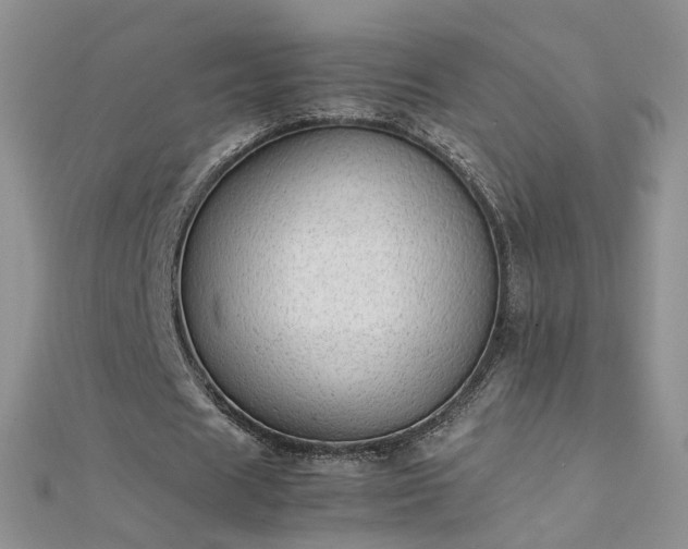 X0000112040625200908101402