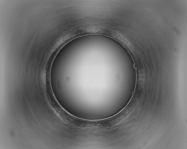 X0000112040626200908101402
