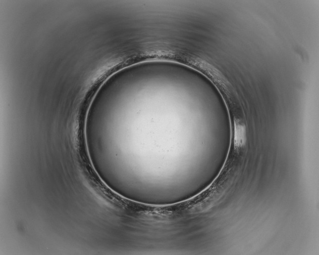 X0000112040627200908101402