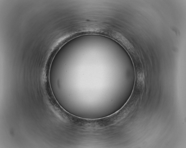 X0000112040628200908101402