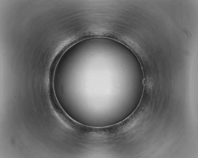 X0000112040630200908101402