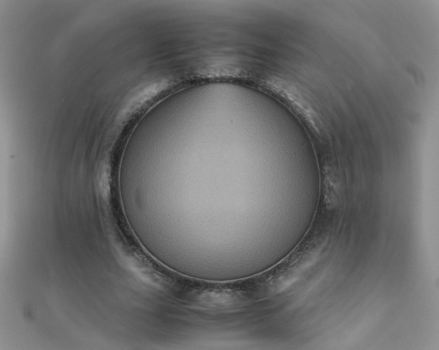 X0000112040631200908101402