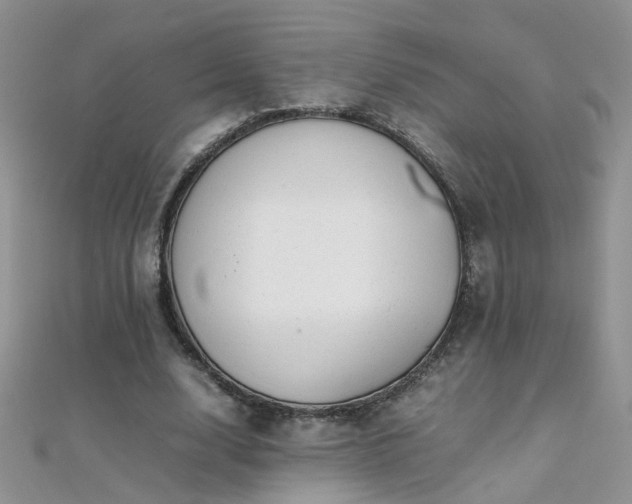 X0000112040632200908101402
