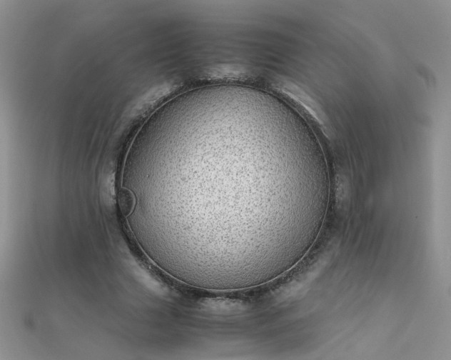 X0000112040633200908101402