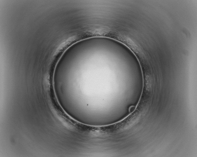 X0000112040634200908101402