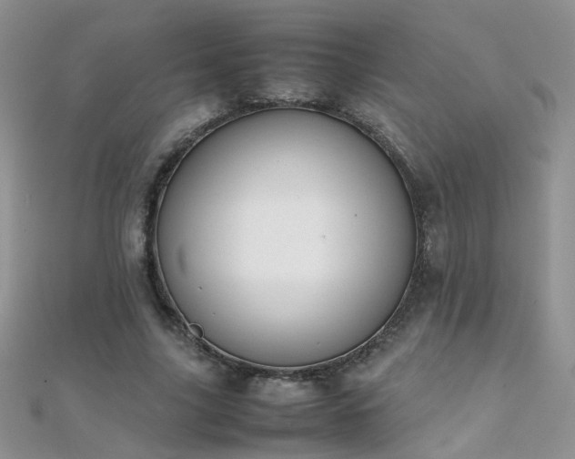 X0000112040635200908101402