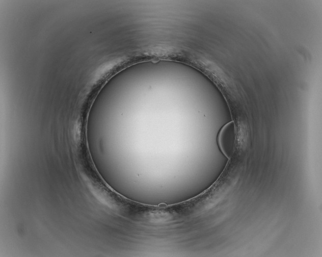 X0000112040636200908101402