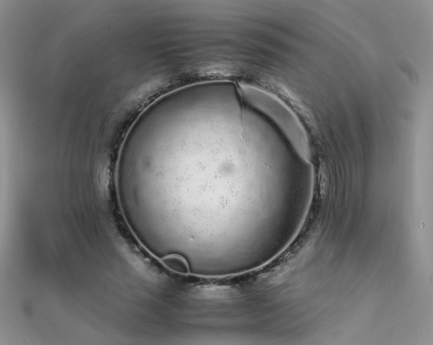 X0000112040637200908101402