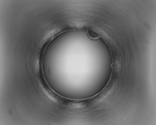 X0000112040638200908101402