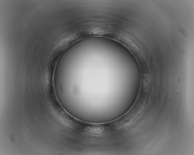 X0000112040639200908101402
