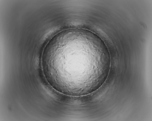 X0000112040640200908101402