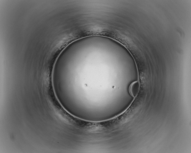 X0000112040642200908101402