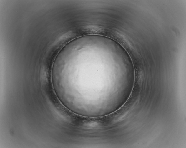 X0000112040643200908101402