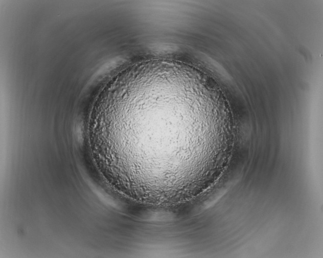 X0000112040644200908101402