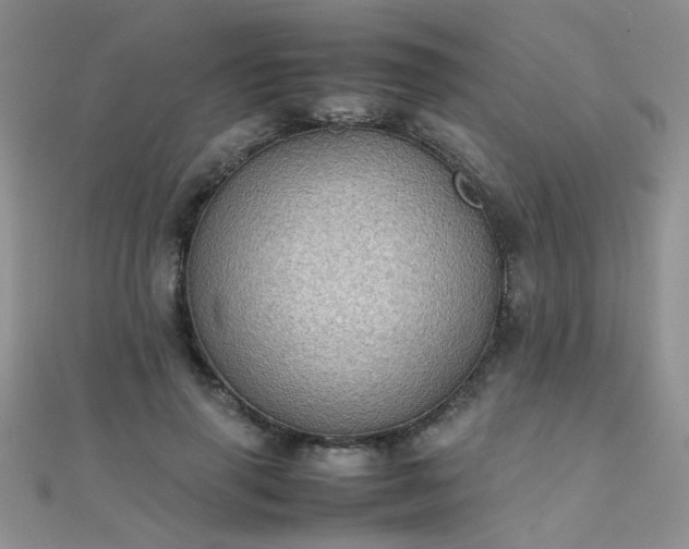 X0000112040645200908101402