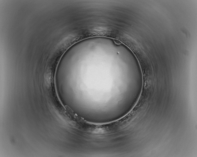 X0000112040647200908101402
