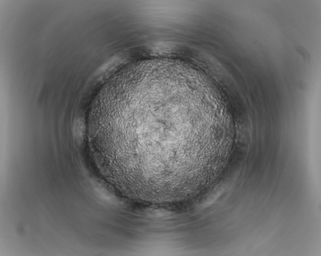 X0000112040648200908101402