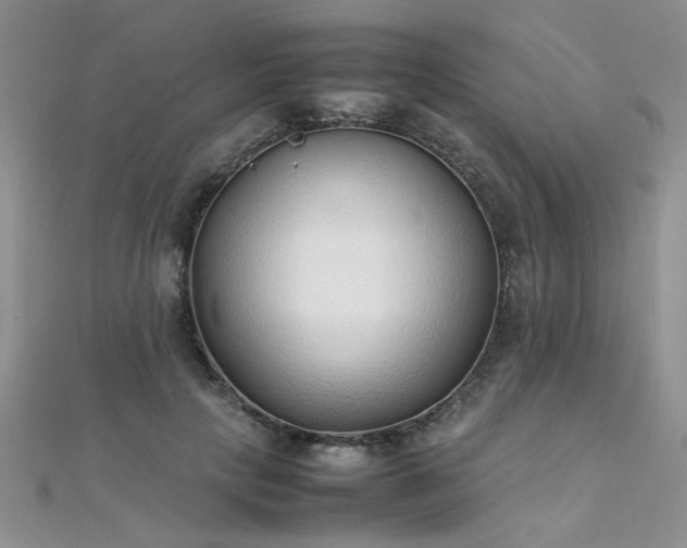 X0000112040649200908101402