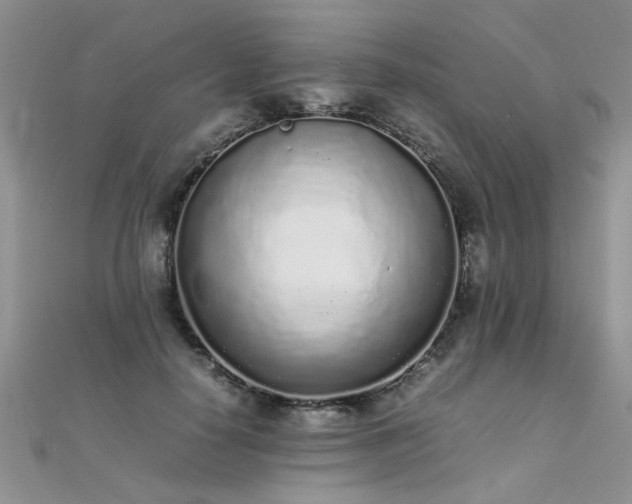 X0000112040650200908101402