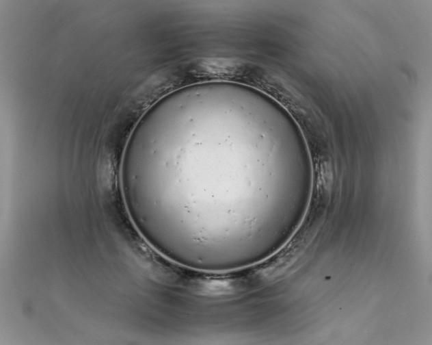 X0000112040651200908101402
