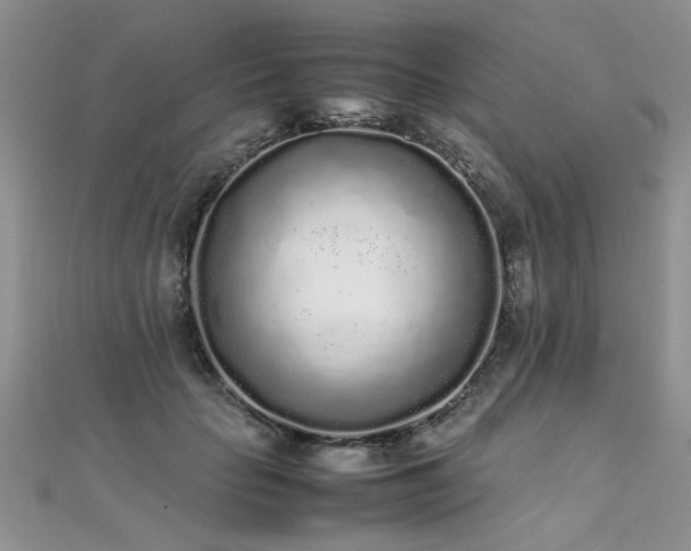 X0000112040653200908101402