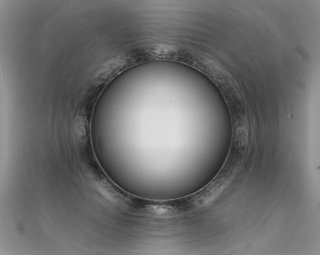 X0000112040654200908101402
