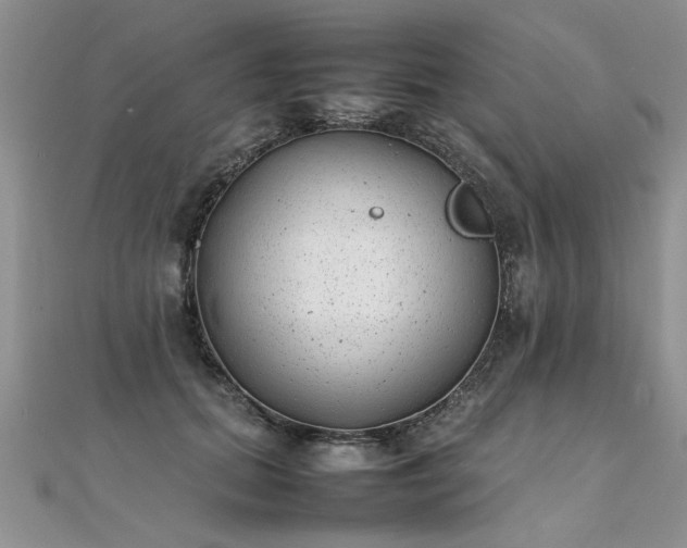 X0000112040655200908101402