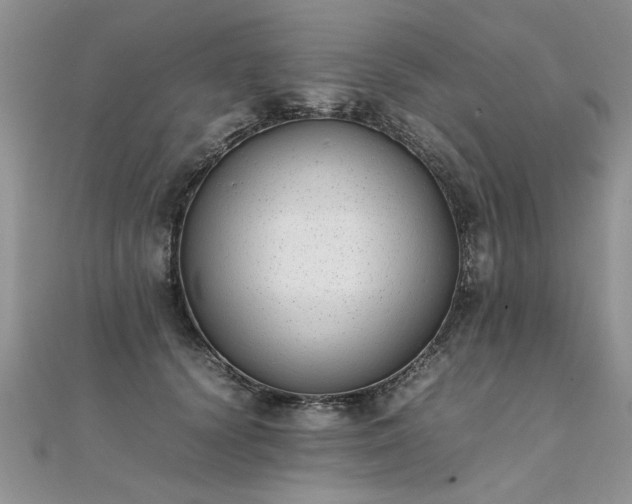 X0000112040656200908101402