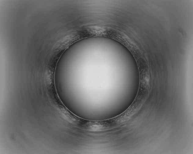 X0000112040658200908101402