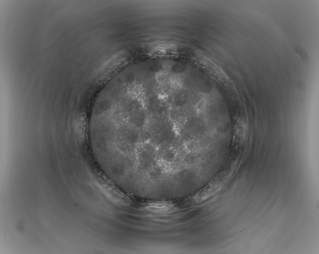 X0000112040659200908101402