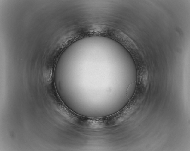 X0000112040660200908101402
