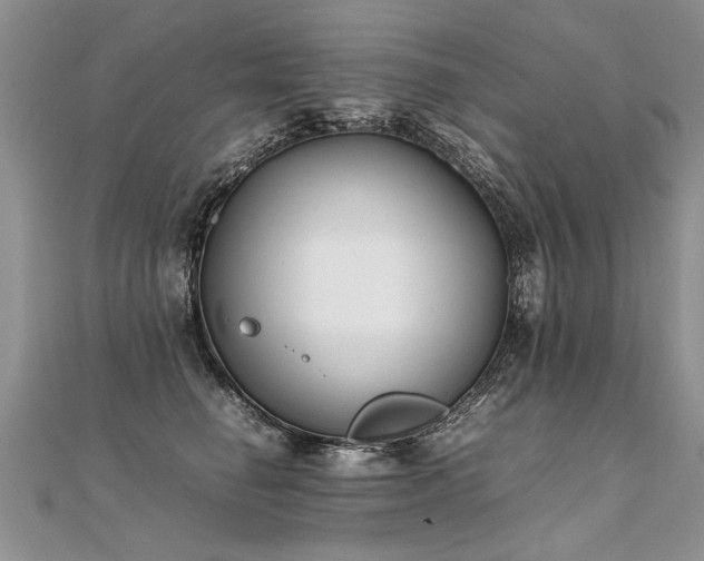 X0000112040662200908101402