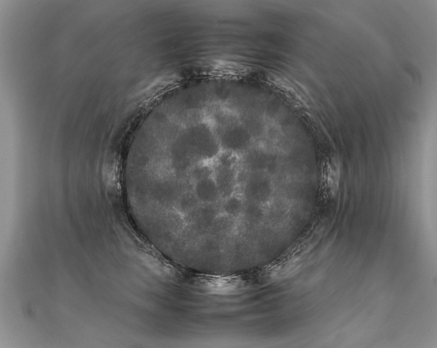 X0000112040663200908101402