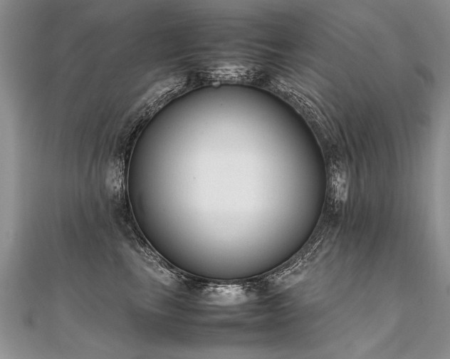 X0000112040665200908101402