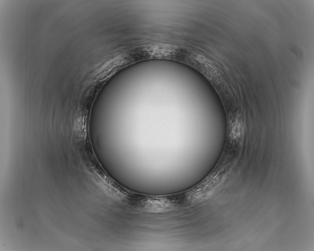 X0000112040666200908101402