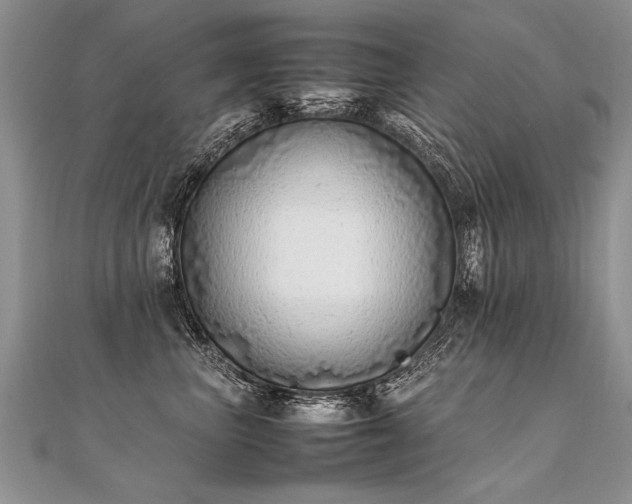 X0000112040667200908101402