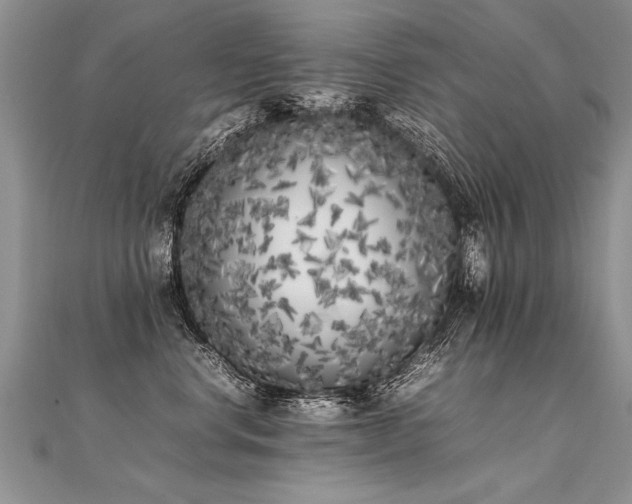 X0000112040668200908101402