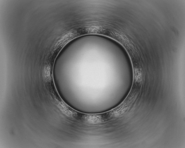 X0000112040670200908101402