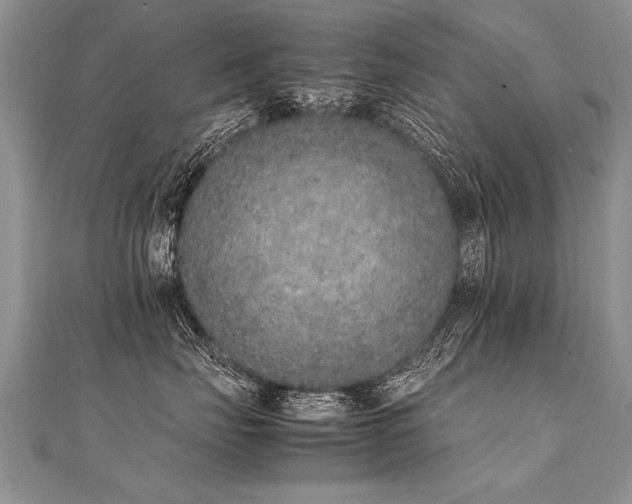 X0000112040671200908101402
