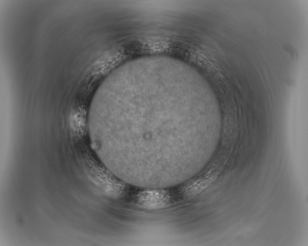 X0000112040672200908101402