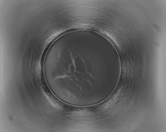 X0000112040674200908101402