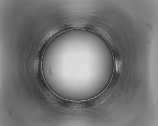 X0000112040675200908101402