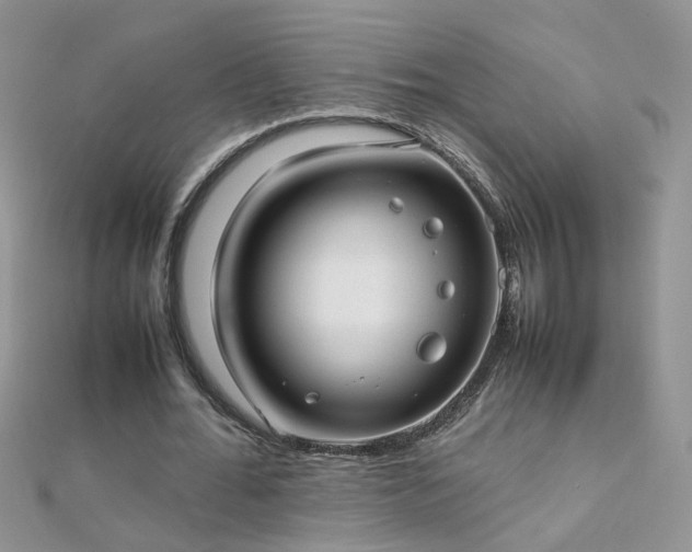 X0000112040676200908101402