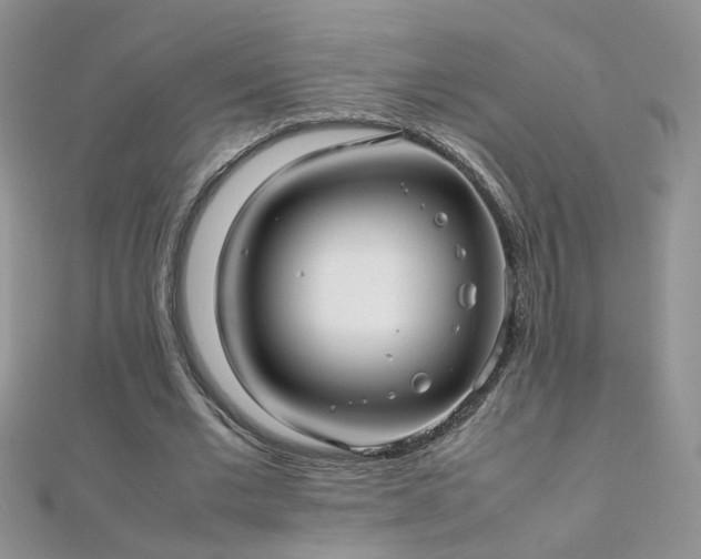 X0000112040677200908101402