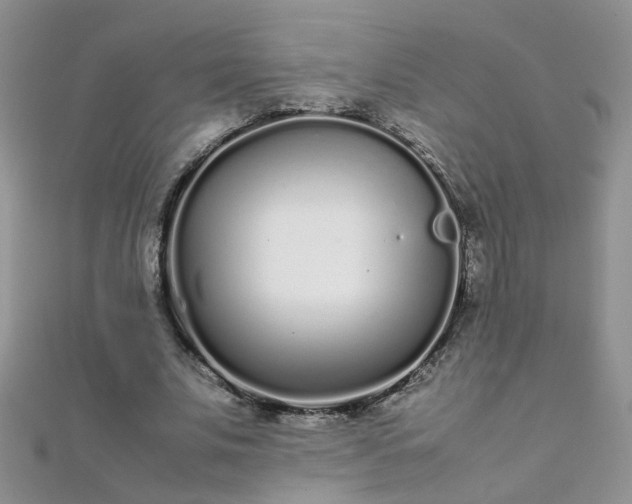 X0000112040679200908101402