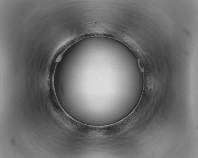 X0000112040680200908101402