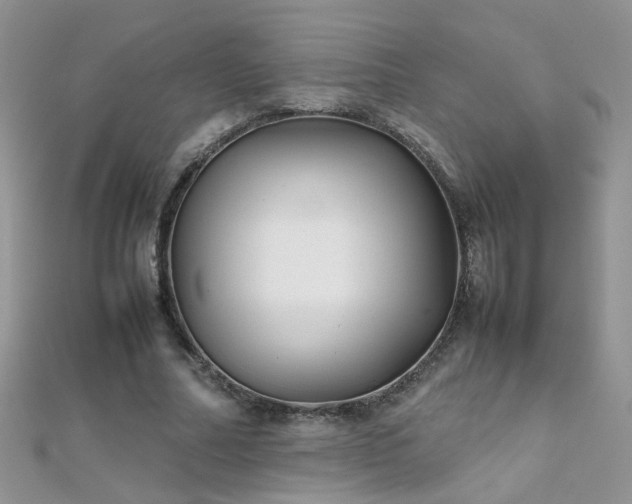 X0000112040682200908101402