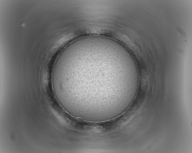 X0000112040683200908101402